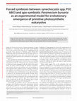 Research paper thumbnail of Forced symbiosis between synechocystis spp. PCC 6803 and apo-symbiotic Paramecium bursaria as an experimental model for evolutionary emergence of primitive photosynthetic eukaryotes