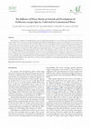 Research paper thumbnail of Metals on Growth and Development of Eichhornia crassipes Species, Cultivated in Contaminated Water