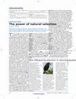 Research paper thumbnail of Evolutionary biology: the power of natural selection