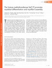 Research paper thumbnail of The histone methyltransferase Set7/9 promotes myoblast differentiation and myofibril assembly