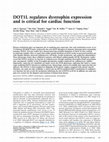 Research paper thumbnail of DOT1L regulates dystrophin expression and is critical for cardiac function