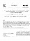 Research paper thumbnail of Commensal worm traces and possible juvenile thalassinidean burrows associated with Ophiomorpha nodosa, Pleistocene, southern Brazil