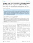 Research paper thumbnail of The Role of the Yap5 Transcription Factor in Remodeling Gene Expression in Response to Fe Bioavailability