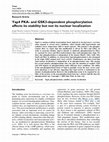 Research paper thumbnail of Yap4 PKA- and GSK3-dependent phosphorylation affects its stability but not its nuclear localization