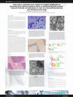 Research paper thumbnail of Does allicin combined with vitamin B-complex have superior potentials than alpha-tocopherol alone in ameliorating lead acetate- induced Purkinje cell alterations in rats? An immunohistochemical and ultrastructural study