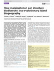 Research paper thumbnail of How maladaptation can structure biodiversity: eco-evolutionary island biogeography