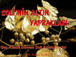 Research paper thumbnail of Soli’nin Altın Yaprakları: Geç Klasik Dönem Soli Aristokrasisi (Golden Leaves of Soloi - Solian Aristocracy of the Late Classical Period), Dünya Müzeler Haftası Paneli, Lefke Avrupa Üniversitesi, (18.05.2015 - Lefke).