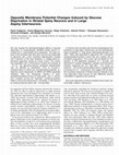 Research paper thumbnail of Opposite membrane potential changes induced by glucose deprivation in striatal spiny neurons and in large aspiny interneurons