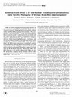 Research paper thumbnail of Evidence from Intron 1 of the Nuclear Transthyretin (Prealbumin) Gene for the Phylogeny of African Mole-Rats (Bathyergidae)