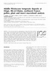 Research paper thumbnail of Middle Pleistocene temperate deposits at Dingé, Ille-et-Vilaine, northwest France: pollen, plant and insect macrofossil analysis