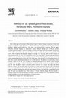 Research paper thumbnail of Stability of an upland gravel-bed stream, Swinhope Burn, Northern England