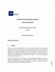 Research paper thumbnail of Prof. Renzo Cavani - Introducción al derecho procesal (2016-2)