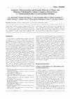 Research paper thumbnail of Synthesis, Characterization and Dynamic Behavior of (π-Allyl)palladium Complexes with Polydentate Nitrogen Ligands, Evidence of a Dissociative Mechanism