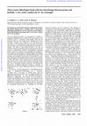 Research paper thumbnail of Three-centre dihydrogen bond with fast interchange between proton and hydride: a very active catalyst for D+–H2 exchange