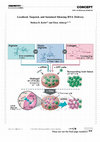 Research paper thumbnail of ChemInform Abstract: Localized, Targeted, and Sustained siRNA Delivery