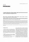 Research paper thumbnail of Complete Elimination of Endosymbiotic Algae from Paramecium bursaria and its Confirmation by Diagnostic PCR