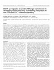 Research paper thumbnail of BDNF up-regulates evoked GABAergic transmission in developing hippocampus by potentiating presynaptic N- and P/Q-type Ca2+ channels signalling