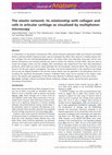 Research paper thumbnail of The elastin network: its relationship with collagen and cells in articular cartilage as visualized by multiphoton microscopy