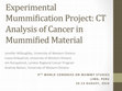 Research paper thumbnail of Experimental Mummification Project: CT Analysis of Cancer in Mummified Material