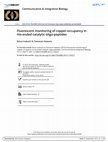 Research paper thumbnail of Fluorescent monitoring of copper-occupancy in His-ended catalytic oligo-peptides