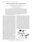 Research paper thumbnail of Binocular adaptive optics visual simulator