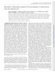 Research paper thumbnail of Myocardin is differentially required for the development of smooth muscle cells and cardiomyocytes