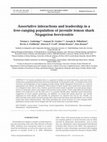 Research paper thumbnail of Assortative interactions and leadership in a free-ranging population of juvenile lemon shark Negaprion brevirostris