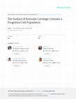 Research paper thumbnail of The surface of articular cartilage contains a progenitor cell population