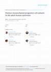 Research paper thumbnail of Distinct mesenchymal progenitor cell subsets in the adult human synovium