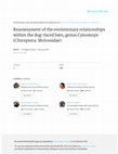 Research paper thumbnail of Reassessment of the evolutionary relationships within the dog-faced bats, genus Cynomops (Chiroptera: Molossidae)