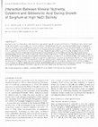 Research paper thumbnail of Interaction between mineral nutrients, cytokinis and gibberellins during growth of Sorghum at high salinity