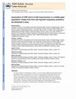 Research paper thumbnail of Association of CRP and IL-6 with lung function in a middle-aged population initially free from self-reported respiratory problems: the Whitehall II study