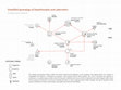 Research paper thumbnail of Simplified genealogy of biophilosophy and cybernetics