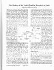 Research paper thumbnail of The Mother of the Tosfos Yomtov Revealed in Code, (Avotaynu, Volume XX, Number 2, Summer-2004)