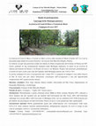 Research paper thumbnail of Bando di partecipazione alla Campagna di scavo: Castel di Mura 2017