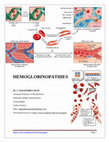 Research paper thumbnail of Hemoglobinopathy & erythrocyte enzyme disorder.pdf