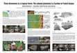 Research paper thumbnail of Three dimensions in a tropical forest. The colonial plantation La Caroline in French Guiana