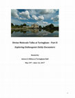 Research paper thumbnail of Daniel Pinchbeck – Psychedelic Initiations and Ecological Megacrisis