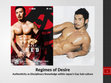 Research paper thumbnail of Regimes of Desire Authenticity as Disciplinary Knowledge within Japan’s Gay Sub-culture