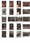 Research paper thumbnail of NEW GUINEA PHOTOS ARCHIVES PP 2017, SINAK