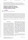 Research paper thumbnail of Xenophon in a Black Sea Landscape: Settlement Models for the Iron Age on the Sinop Promontory (Turkey). European Journal of Archaeology, 22.1: 91-110. doi:10.1017/eaa.2018.16