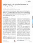 Research paper thumbnail of lncRNA Chronos is an aging-induced inhibitor of muscle hypertrophy