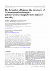 Research paper thumbnail of The formation of legume-like structures of Co nanoparticles through a polymer-assisted magnetic-field-induced assembly