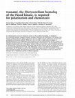 Research paper thumbnail of tsunami, the Dictyostelium homolog of the Fused kinase, is required for polarization and chemotaxis