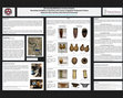 Research paper thumbnail of 3D Methods in Ceramics Analysis: Technology and Production of Predynastic Egyptian and Nubian Ceramics