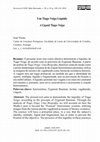 Research paper thumbnail of Um Tiago Veiga Líquido