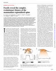 Research paper thumbnail of Fossils reveal the complex evolutionary history of the mammalian regionalized spine