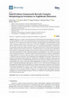 Research paper thumbnail of Total-Evidence Framework Reveals Complex Morphological Evolution in Nightbirds (Strisores