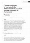 Research paper thumbnail of Caminar con bueyes. La intersubjetividad del movimiento en las tareas agrícolas (Quebrada de Humahuaca)