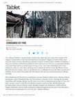 Research paper thumbnail of Shaul Magid, “Consumed by Fire: Reflections on Moshav Me’or Modiim,” Tablet Magazine (25 May 2019)